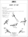 Aviary Pattern
